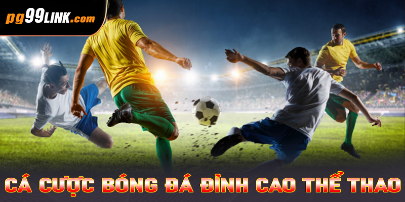 Cá cược bóng đá – Đỉnh cao thể thao